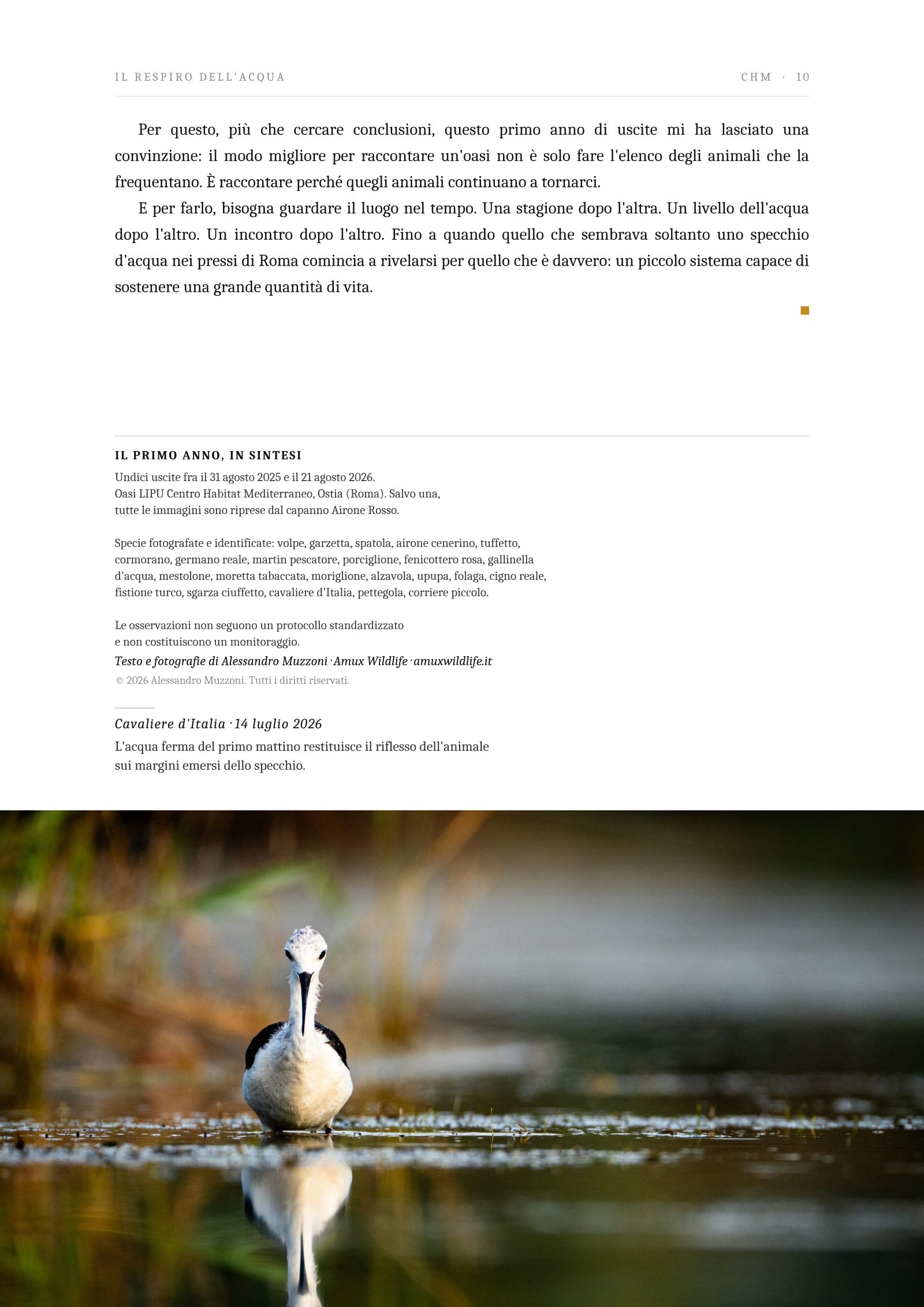 Pagina 10