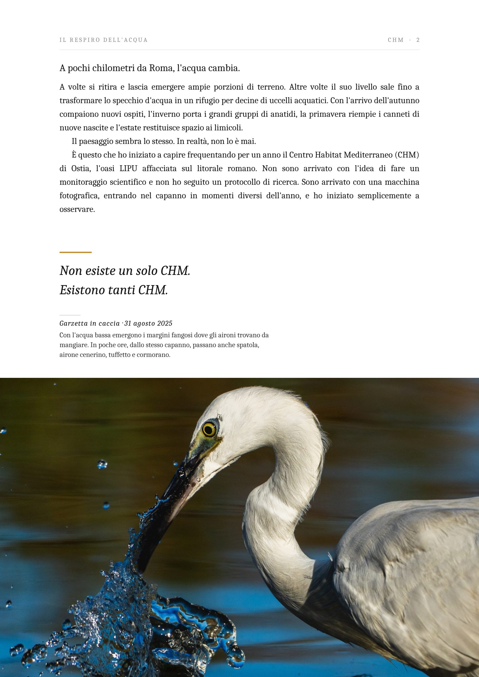 Pagina 2