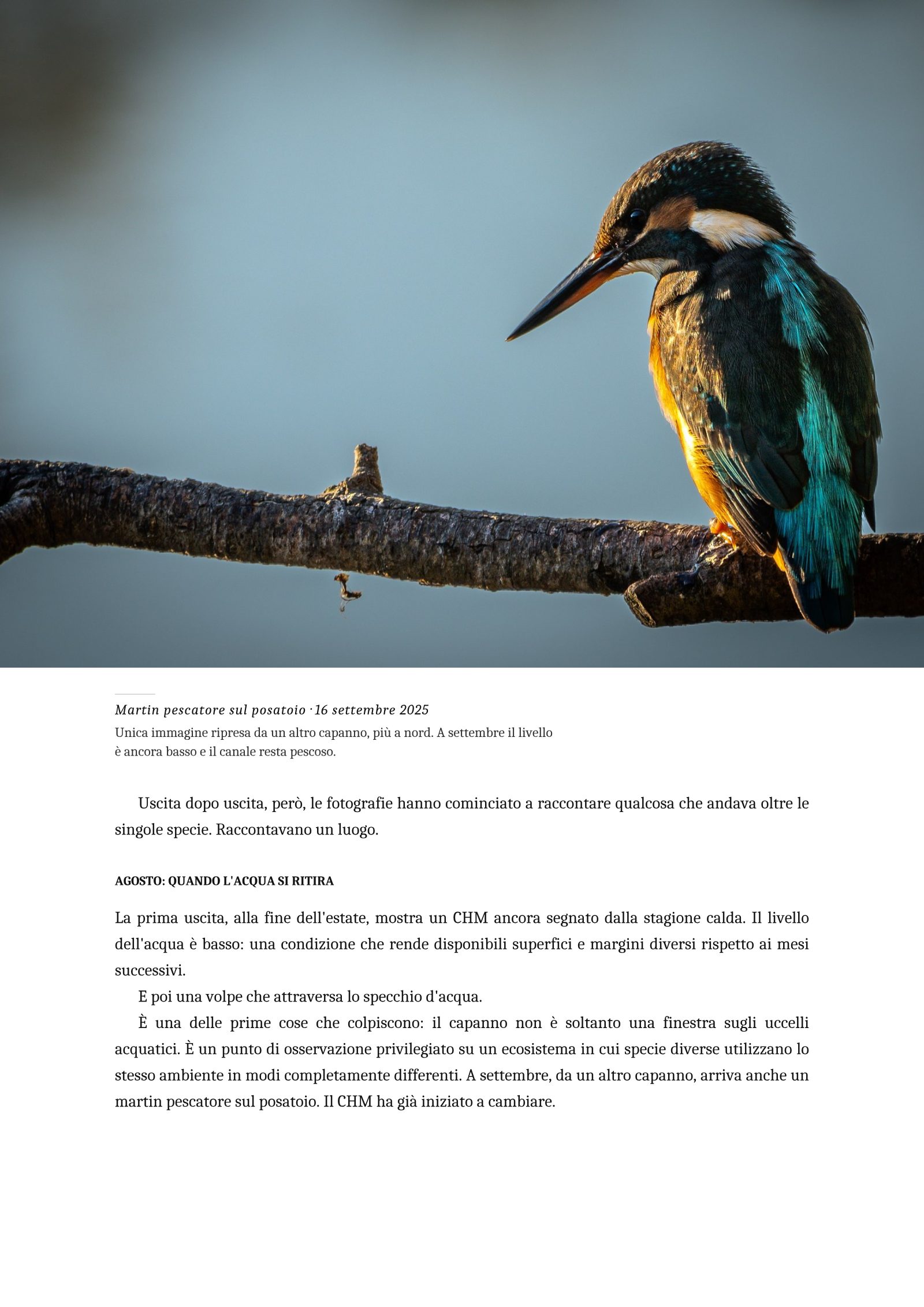 Pagina 3