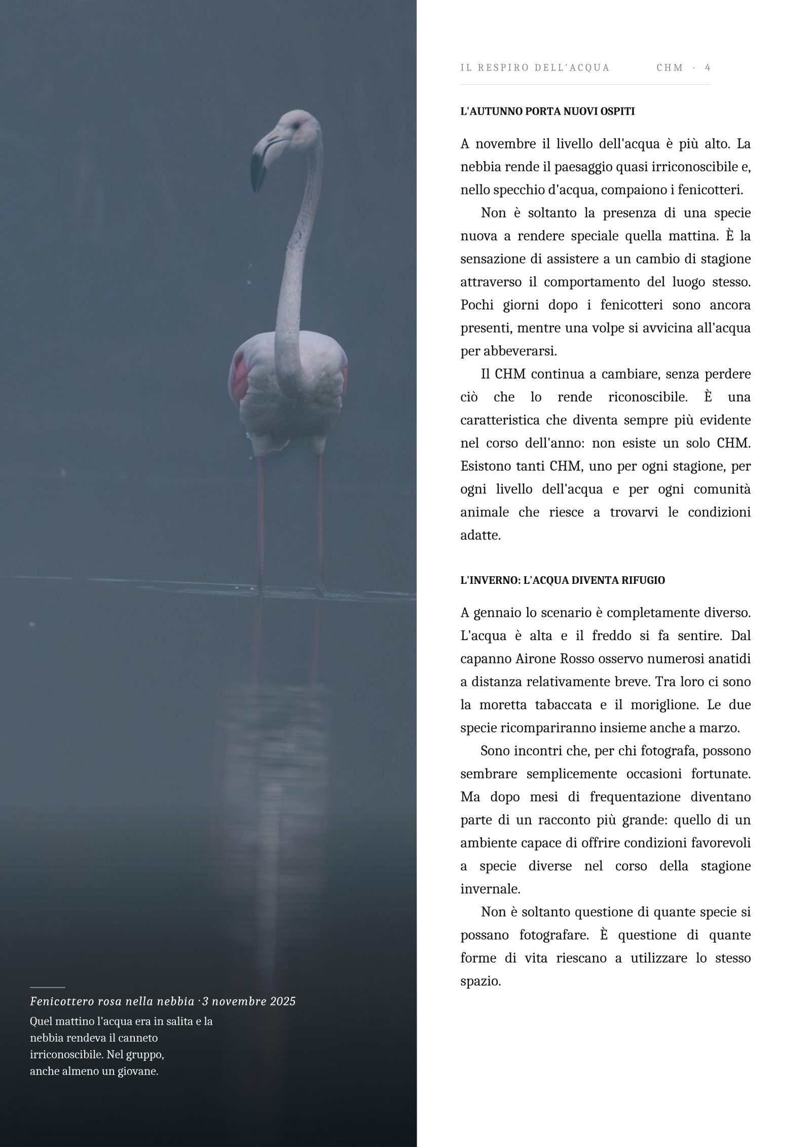 Pagina 4