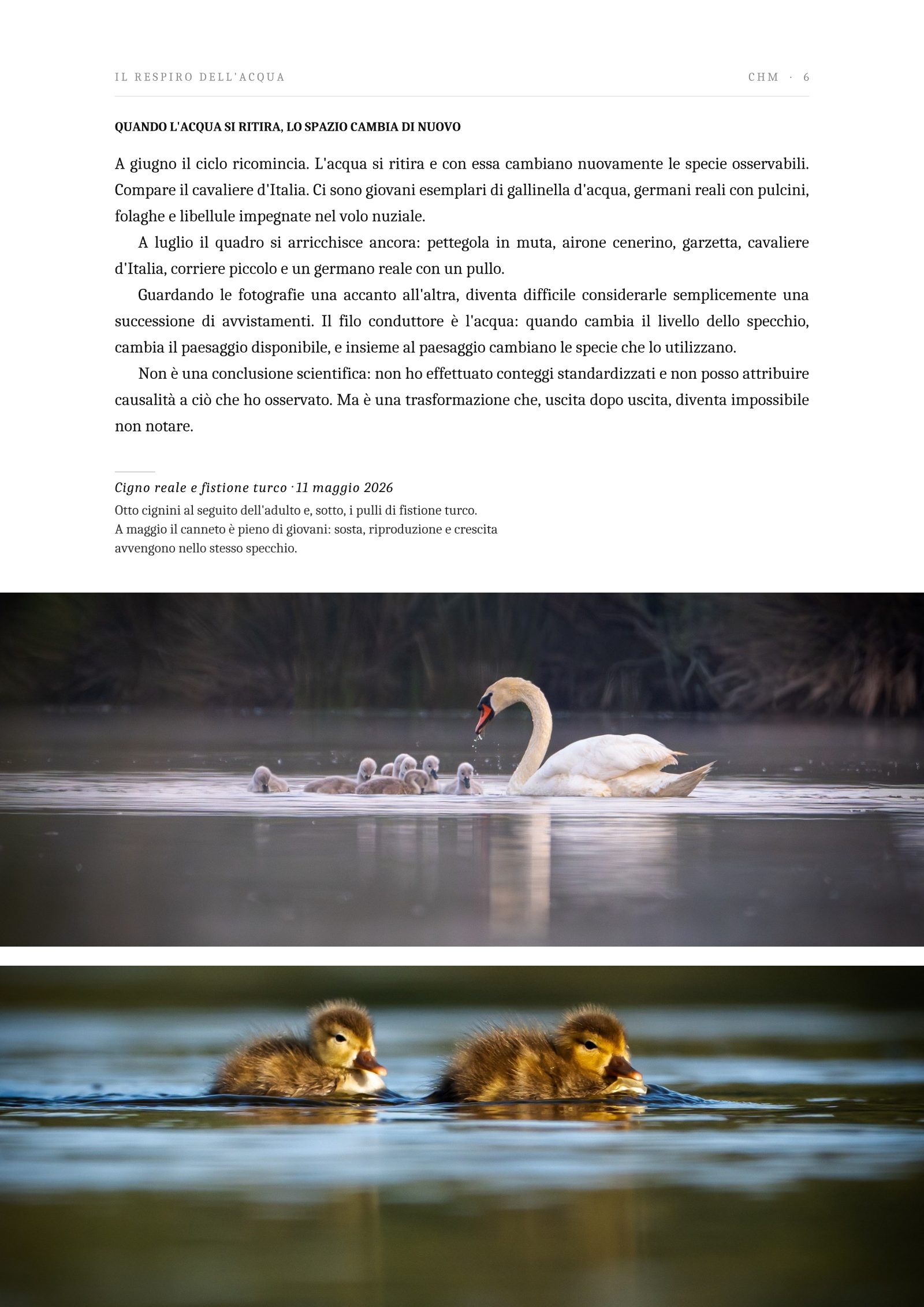 Pagina 6