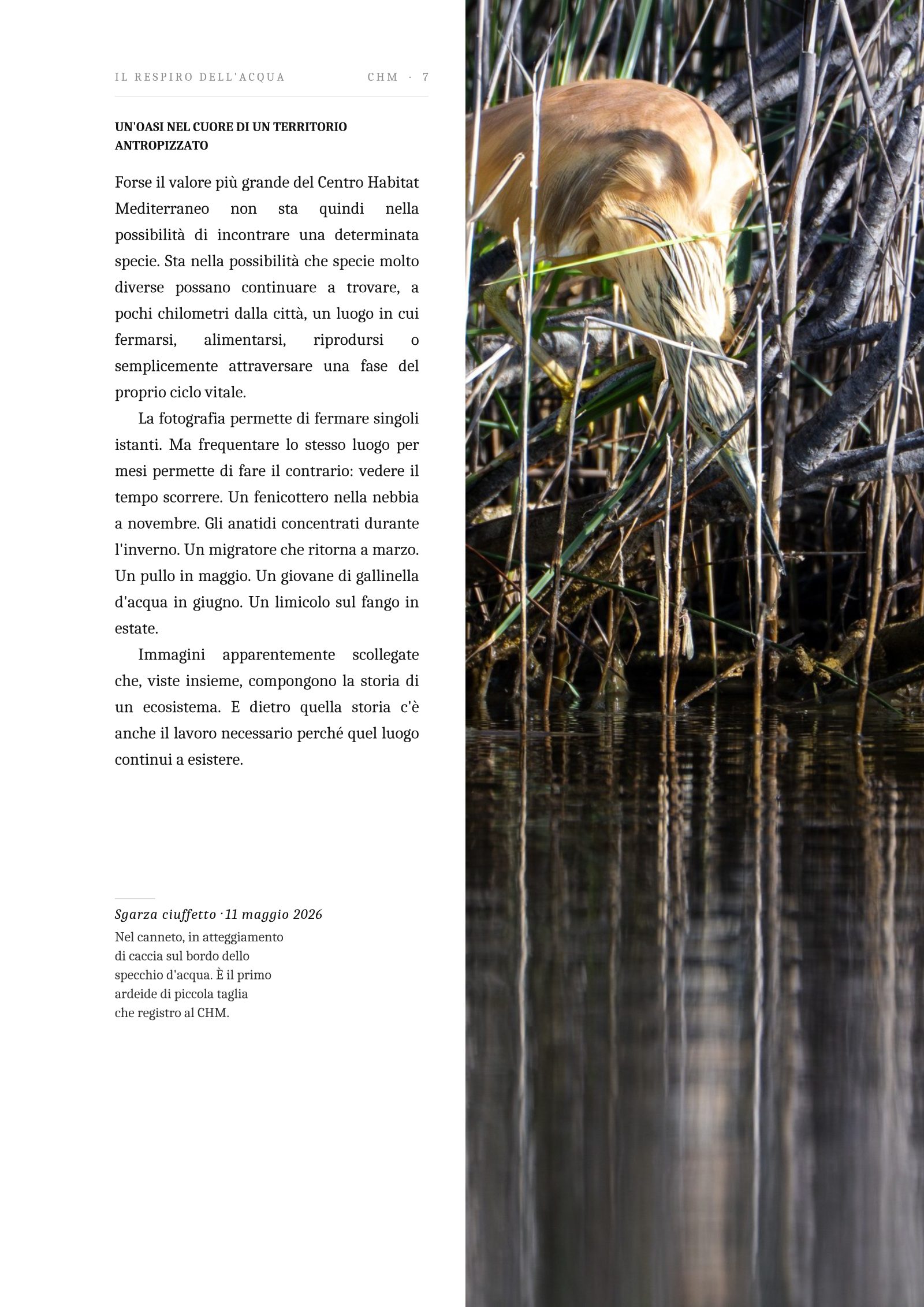 Pagina 7