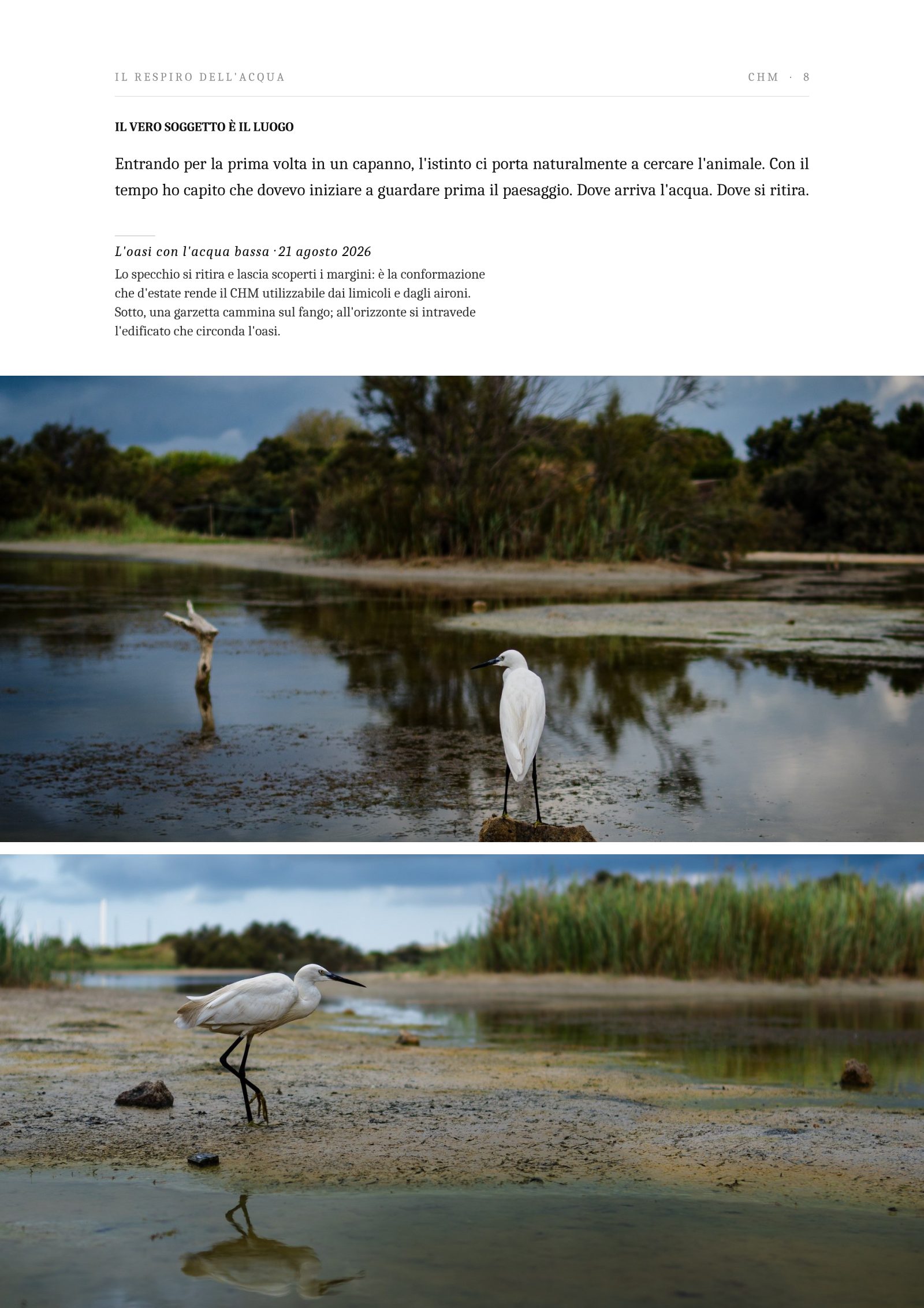 Pagina 8