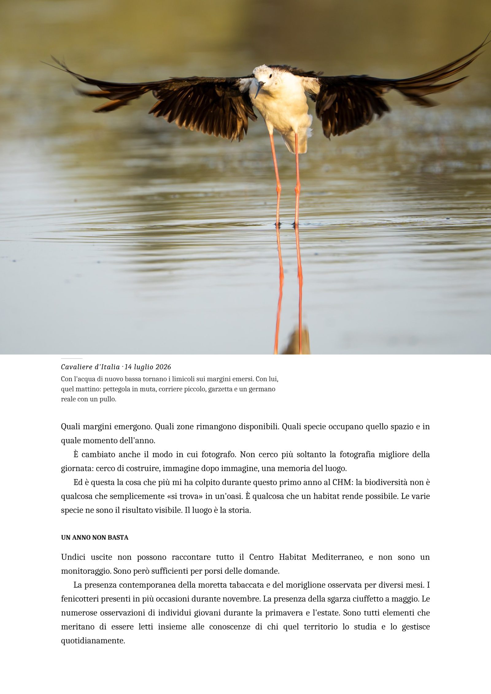 Pagina 9