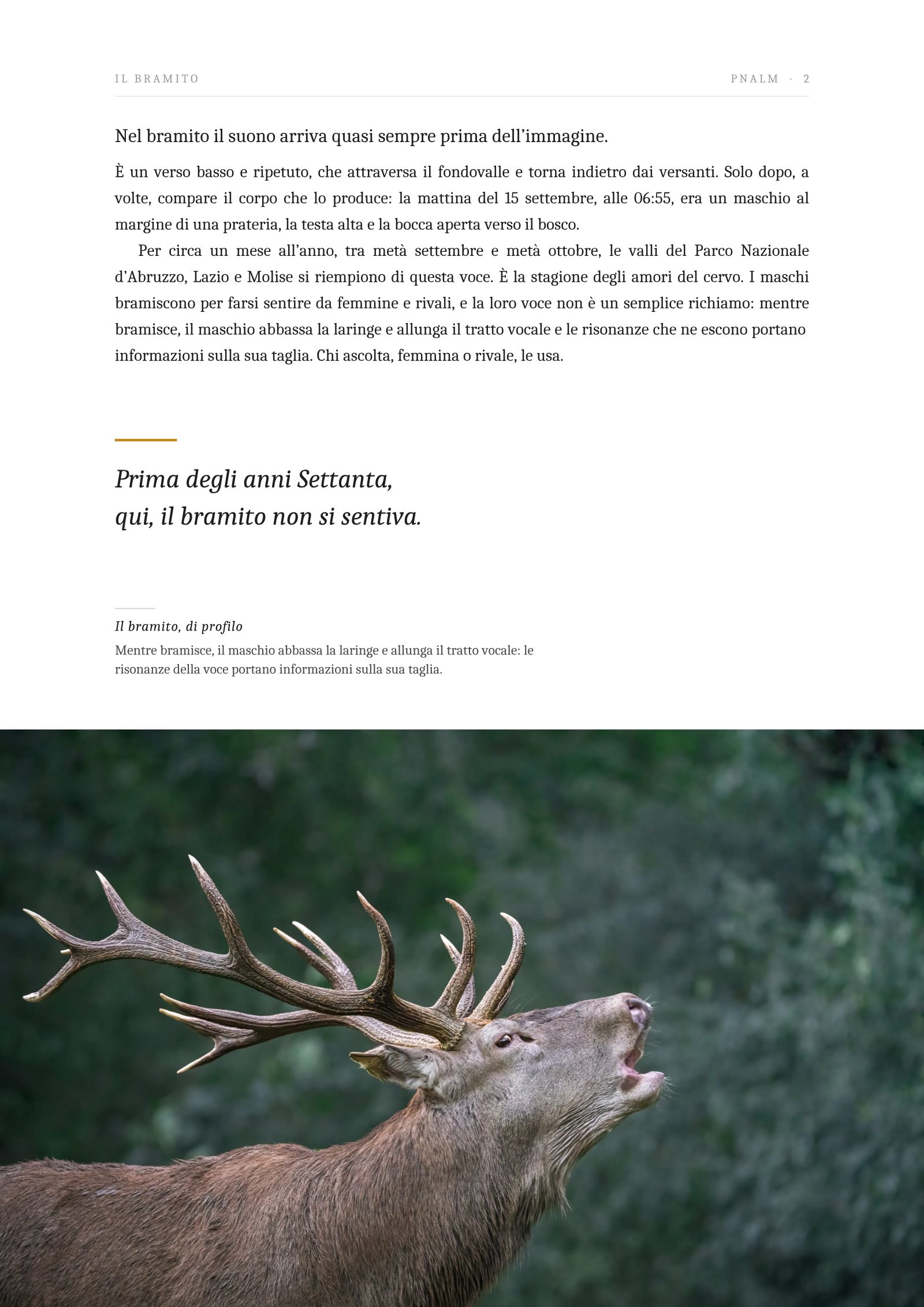 Pagina 2