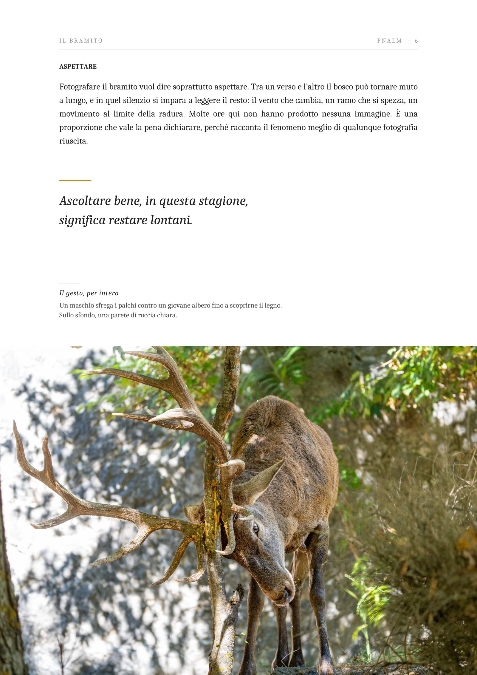 Pagina 6